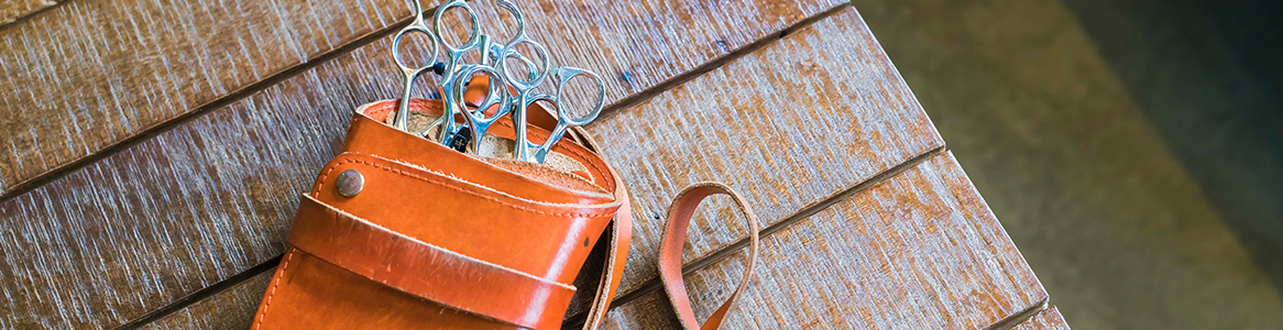 Perce-Neige ペルスネージュ